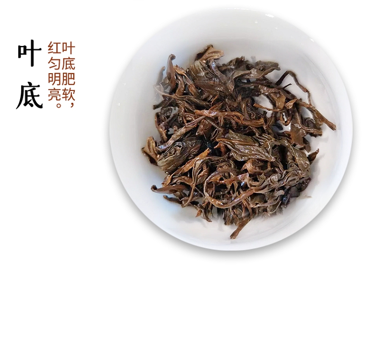 红茶叶底.jpg